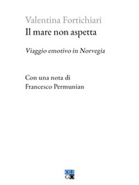 Il mare non aspetta. Viaggio emotivo in Norvegia - Librerie.coop