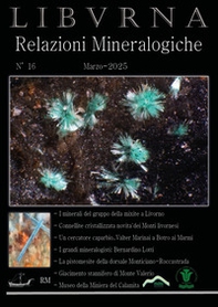 Relazioni mineralogiche. Libvrna - Vol. 16 - Librerie.coop