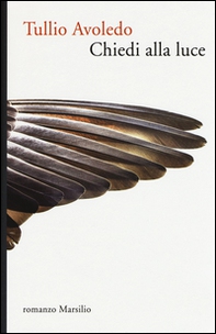 Chiedi alla luce - Librerie.coop