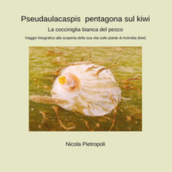 Pseudaulacaspis pentagona sul kiwi. La cocciniglia bianca del pesco. Viaggio fotografico alla scoperta della sua vita sulle piante di actinidia (kiwi) - Librerie.coop