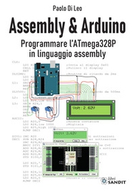 Assembly & Arduino. Programmare l'ATmega328P in linguaggio assembly - Librerie.coop