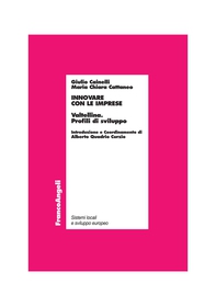 Innovare con le imprese. Valtellina. Profili di sviluppo - Librerie.coop