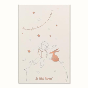 Set Le Petit Prince in edizione limitata Taccuino large a righe, Agenda large senza date, con Gift Box - Librerie.coop