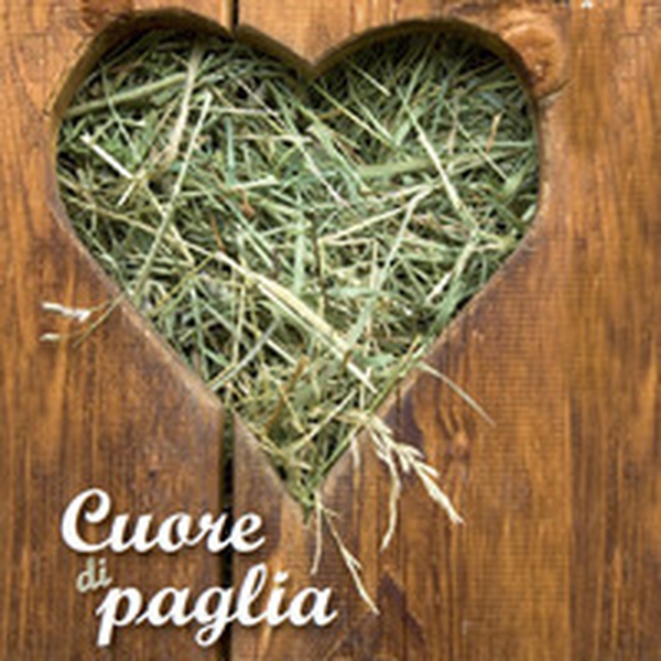 Cuore di paglia - Librerie.coop