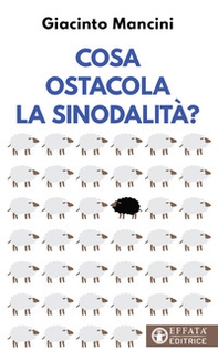 Cosa ostacola la sinodalità? - Librerie.coop