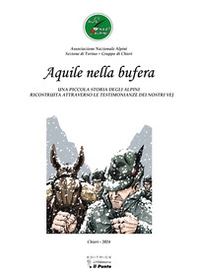 Aquile nella bufera - Librerie.coop