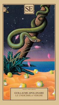 Le undicimila verghe - Librerie.coop