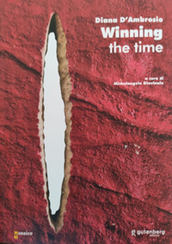 Diana D'Ambrosio. Winning the time. Ediz. italiana e inglese - Librerie.coop Diana D'Ambrosio. Winning the time. Ediz. italiana e inglese - Librerie.coop