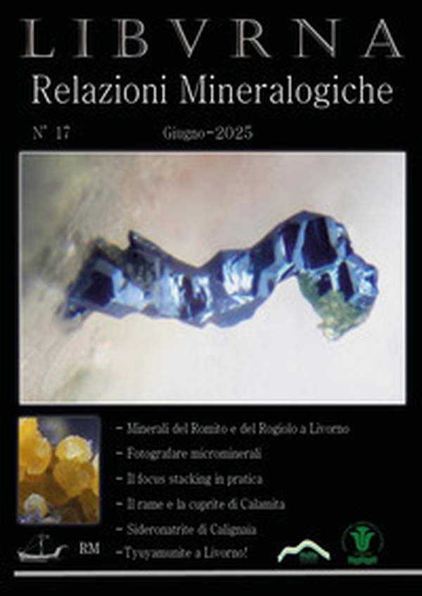 Relazioni mineralogiche. Libvrna - Vol. 17 - Librerie.coop Relazioni mineralogiche. Libvrna - Vol. 17 - Librerie.coop
