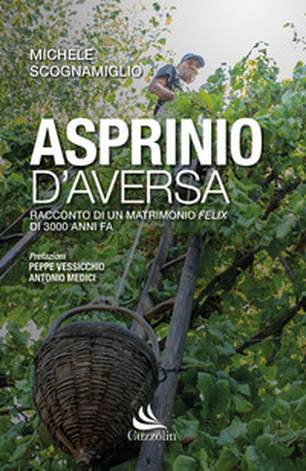 Asprinio D'Aversa. Racconto di un matrimonio Felix di 3000 anni fa - Librerie.coop Asprinio D'Aversa. Racconto di un matrimonio Felix di 3000 anni fa - Librerie.coop
