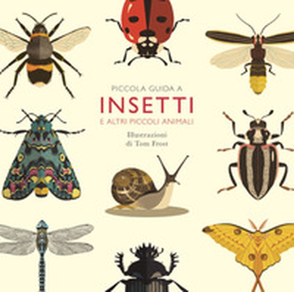 Piccola guida a insetti e altri piccoli animali - Librerie.coop Piccola guida a insetti e altri piccoli animali - Librerie.coop