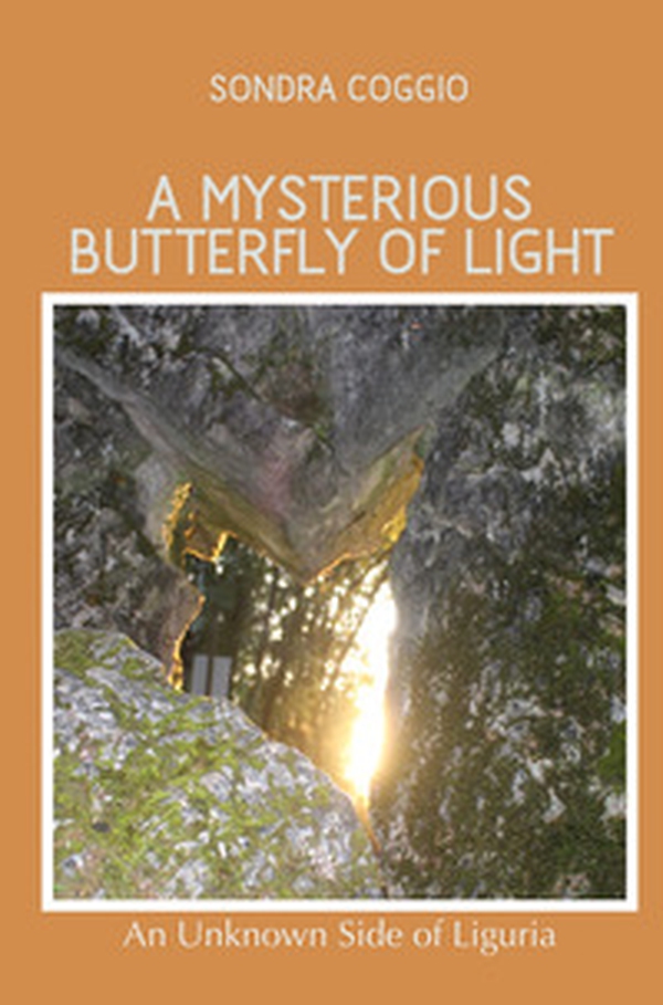 A mysterious butterfly of light - Librerie.coop A mysterious butterfly of light - Librerie.coop