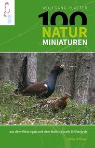 100 naturminiaturen aus dem Vinschgau und dem Nationalpark Silfserjoch - Librerie.coop