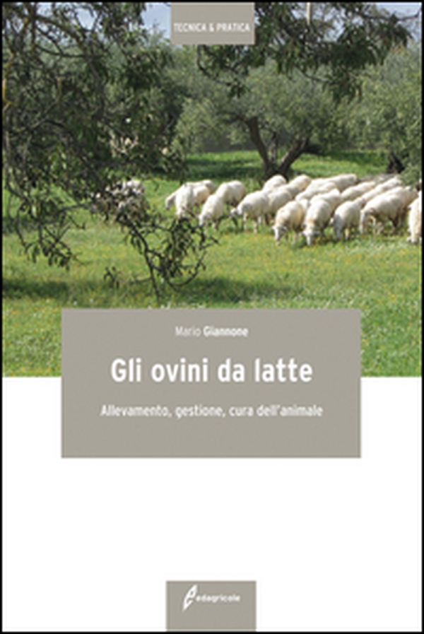 Gli ovini da latte. Allevamento, gestione, cura dell'animale - Librerie.coop Gli ovini da latte. Allevamento, gestione, cura dell'animale - Librerie.coop