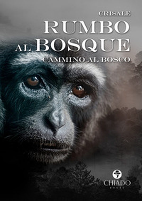 Rumbo al bosque. Cammino al bosco - Librerie.coop Rumbo al bosque. Cammino al bosco - Librerie.coop