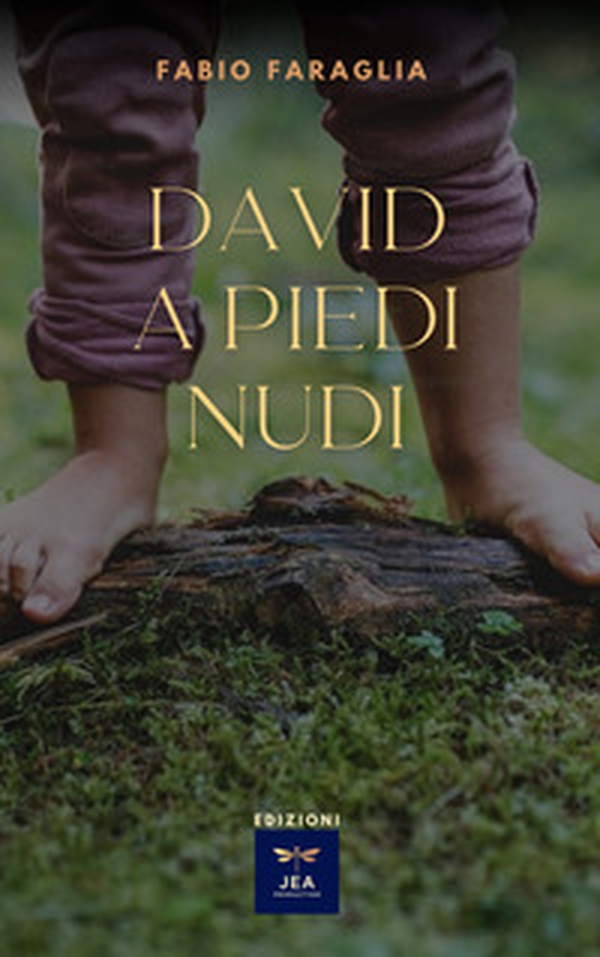 David a piedi nudi - Librerie.coop