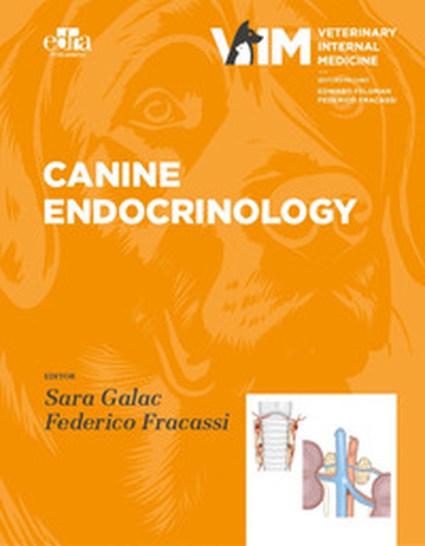 Canine Endocrinolgy - Librerie.coop Canine Endocrinolgy - Librerie.coop