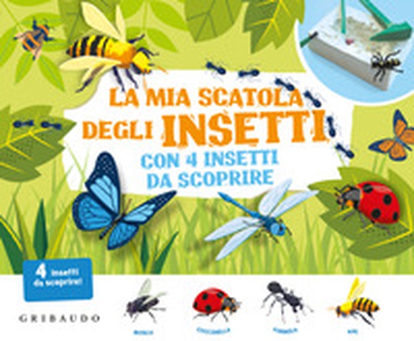 La mia scatola degli insetti con 4 insetti da scoprire - Librerie.coop La mia scatola degli insetti con 4 insetti da scoprire - Librerie.coop