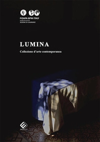 Lumina. Collezione d'arte contemporanea - Librerie.coop