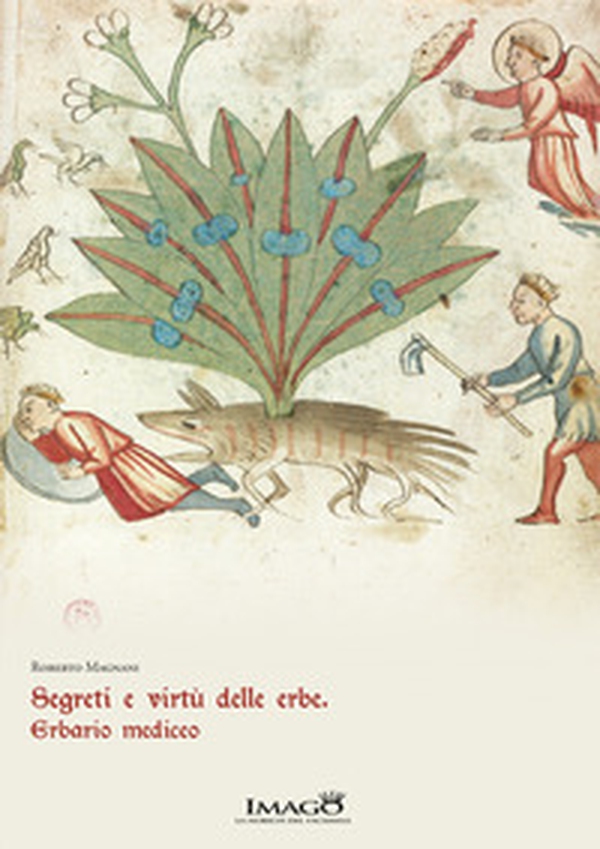 Segreti e virtù delle erbe. Erbario mediceo. Redi 165 - Librerie.coop Segreti e virtù delle erbe. Erbario mediceo. Redi 165 - Librerie.coop