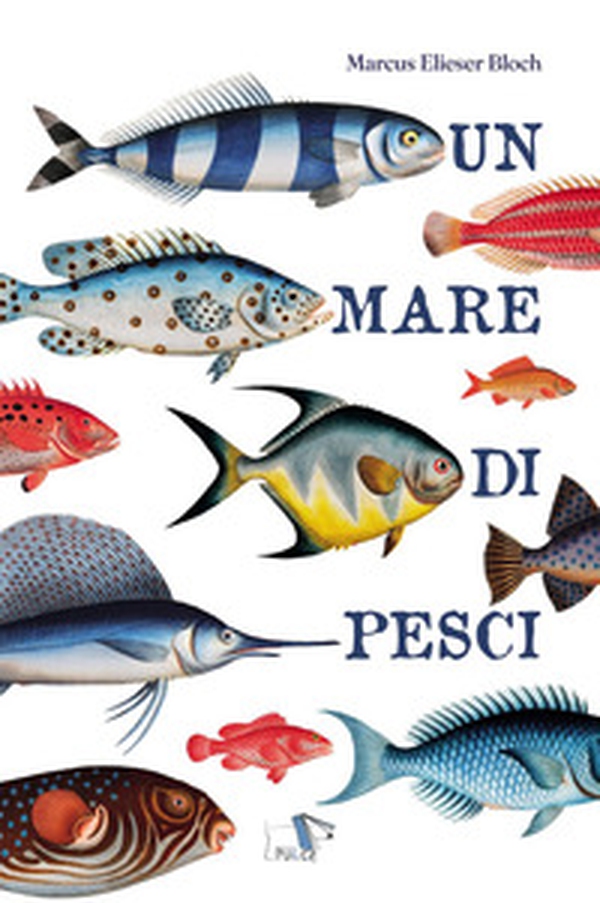 Un mare di pesci - Librerie.coop Un mare di pesci - Librerie.coop
