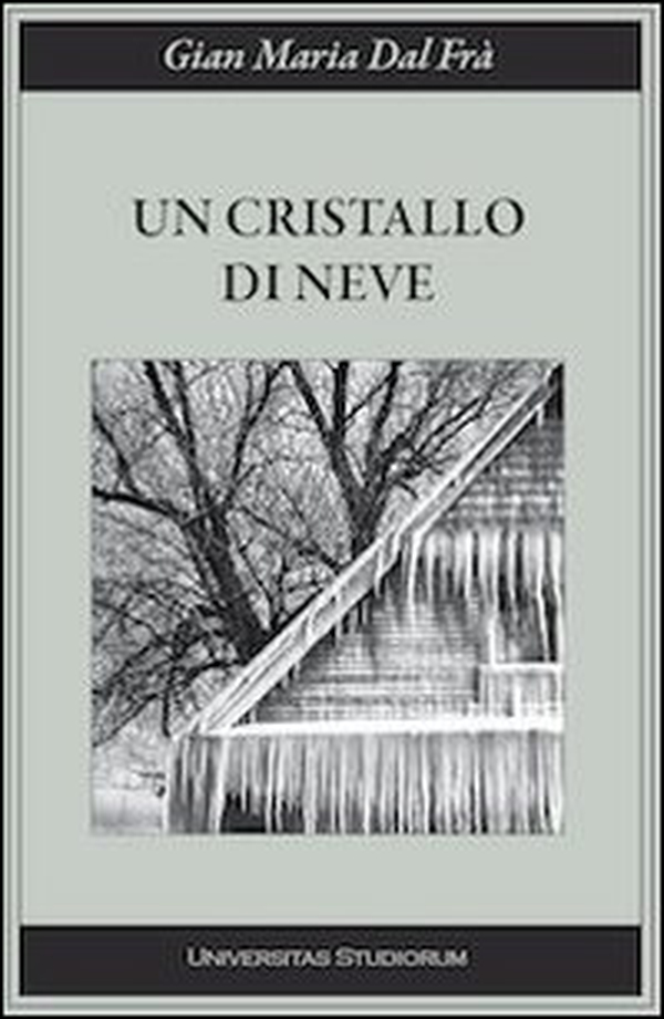 Un cristallo di neve - Librerie.coop Un cristallo di neve - Librerie.coop