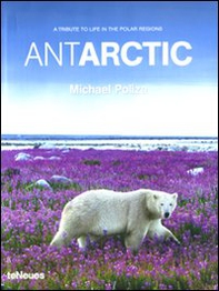 Antarctic. A tribute to life in the polar regions - Librerie.coop