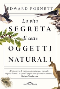 La vita segreta di sette oggetti naturali - Librerie.coop La vita segreta di sette oggetti naturali - Librerie.coop