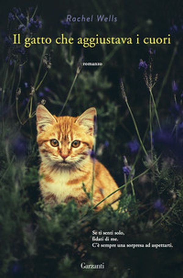 Il gatto che aggiustava i cuori - Librerie.coop Il gatto che aggiustava i cuori - Librerie.coop