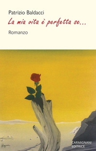 La mia vita è perfetta se... - Librerie.coop