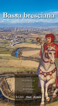 Bassa bresciana. I tesori nascosti - Librerie.coop Bassa bresciana. I tesori nascosti - Librerie.coop