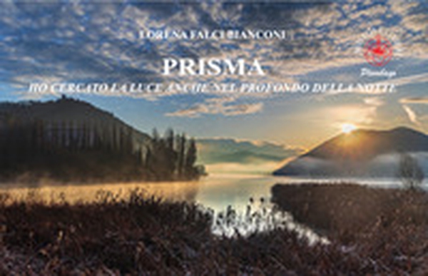 Prisma. Ho cercato la luce anche nel profondo della notte - Librerie.coop