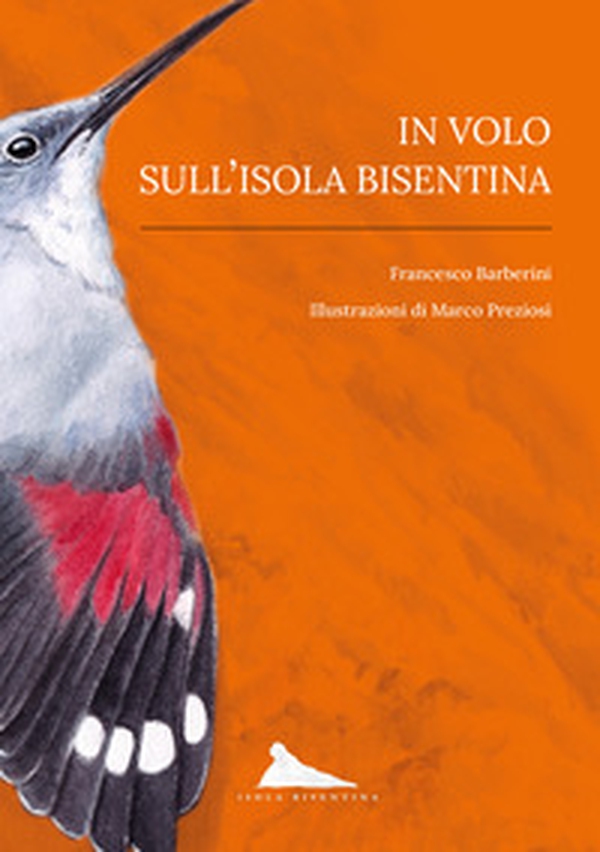 In volo sull'isola Bisentina - Librerie.coop In volo sull'isola Bisentina - Librerie.coop