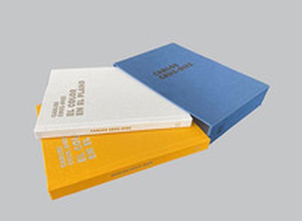 Carlos Cruz-Diez. El color en el plano-El color en el espacio. Ediz. inglese e spagnola - Librerie.coop