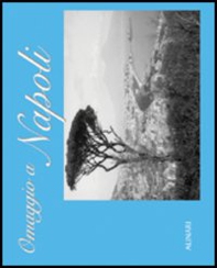 Omaggio a Napoli. Ediz. italiana e inglese - Librerie.coop