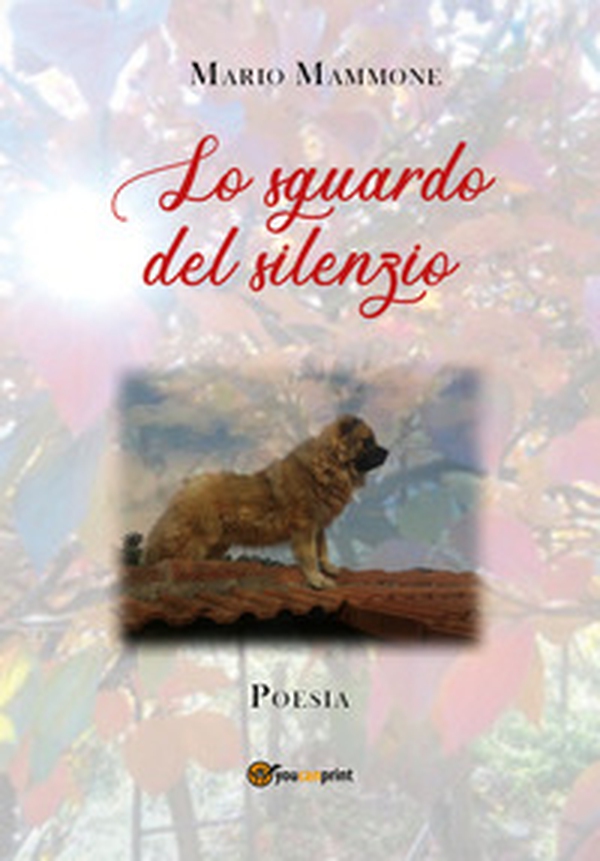 Lo sguardo del silenzio - Librerie.coop Lo sguardo del silenzio - Librerie.coop