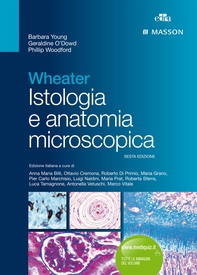 Wheater Istologia e anatomia microscopica - Librerie.coop