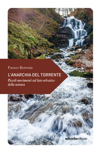 L'anarchia del torrente. Piccoli movimenti sul lato - Librerie.coop
