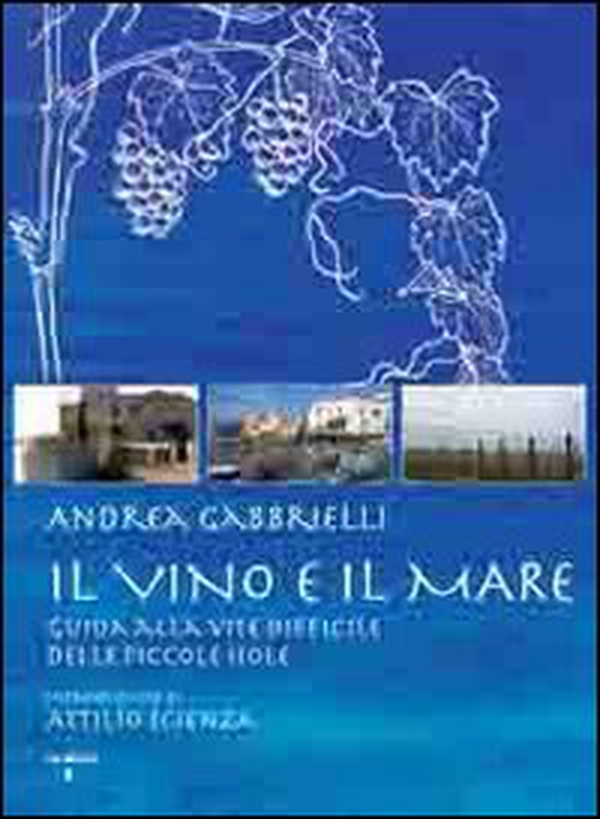 Il vino e il mare. Guida alla vite difficile delle piccole isole - Librerie.coop Il vino e il mare. Guida alla vite difficile delle piccole isole - Librerie.coop