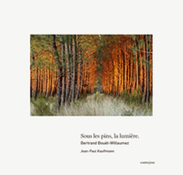 Sous les pins la lumière - Librerie.coop Sous les pins la lumière - Librerie.coop