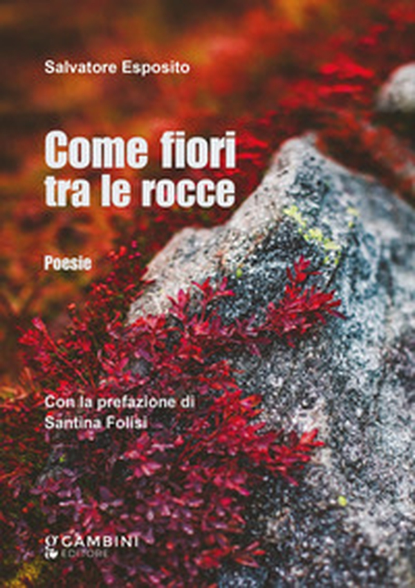 Come fiori tra le rocce - Librerie.coop Come fiori tra le rocce - Librerie.coop