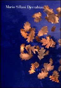 Mario Sillani Djerrahian. Inizio e fine del paesaggio - Librerie.coop