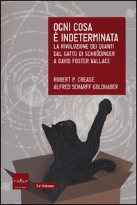 Ogni cosa è indeterminata. La rivoluzione dei quanti dal gatto di Schrödinger a David Foster Wallace - Librerie.coop