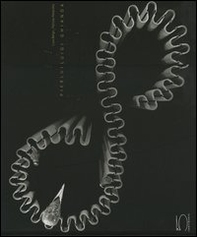 Pierluigi Ghianda - Librerie.coop