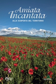 Amiata incantata. Alla scoperta del territorio - Librerie.coop