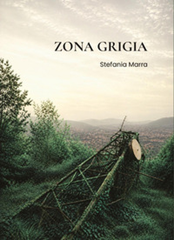 Zona grigia - Librerie.coop