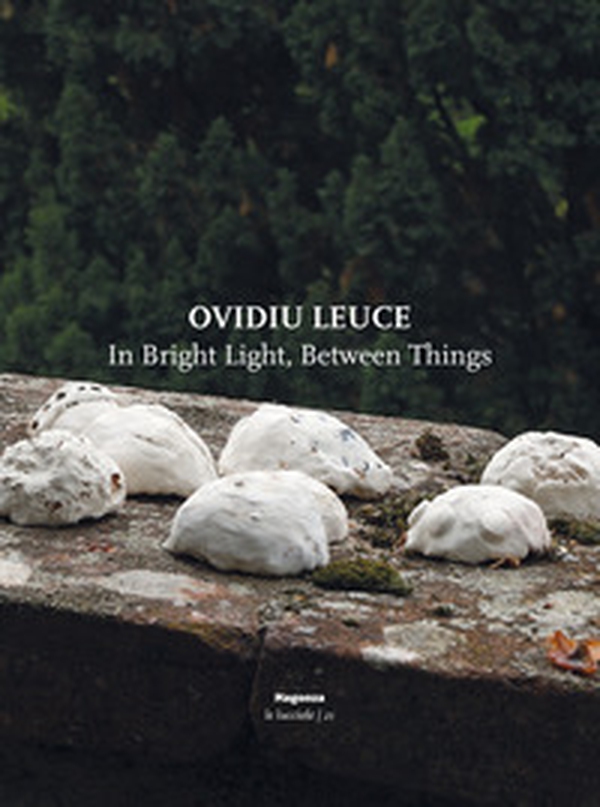 Ovidiu Leuce. In bright light, between things. Ediz. italiana e inglese - Librerie.coop