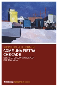 Come una pietra che cade - Librerie.coop