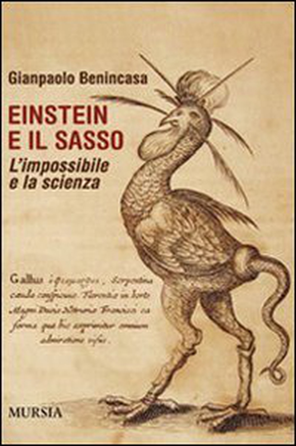 Einstein e il sasso. L'impossibile e la scienza - Librerie.coop Einstein e il sasso. L'impossibile e la scienza - Librerie.coop