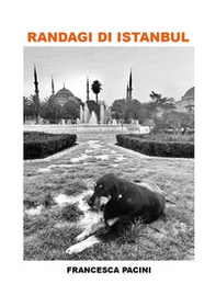 Randagi di Istanbul - Librerie.coop